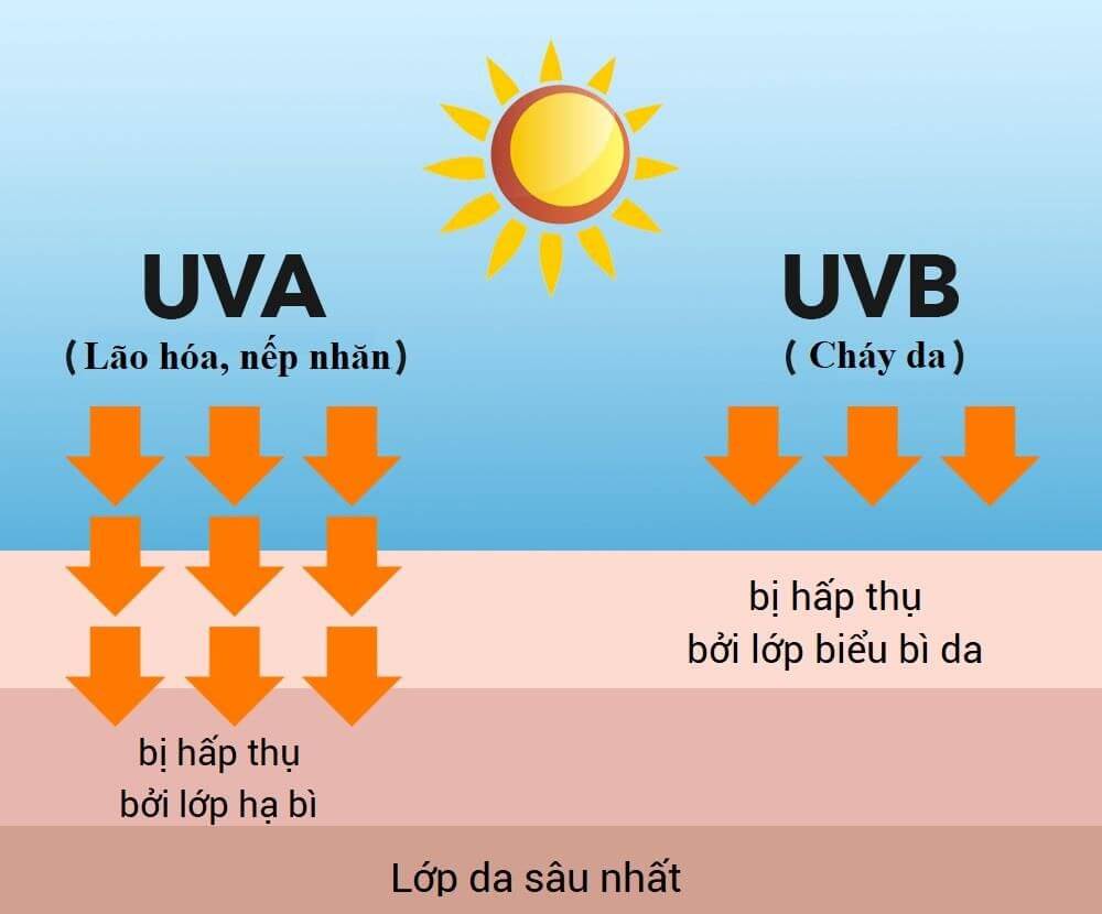 Tác hại của tia UV: Tia UV rất có hại cho làn da 