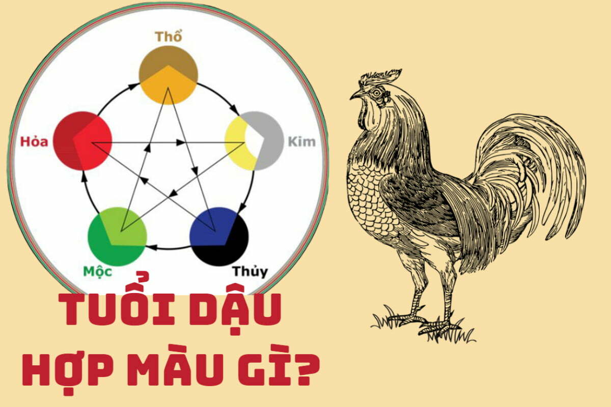 Tuổi Gà 2024 Hợp Màu Gì? Khám Phá Màu Sắc May Mắn Và Tài Lộc