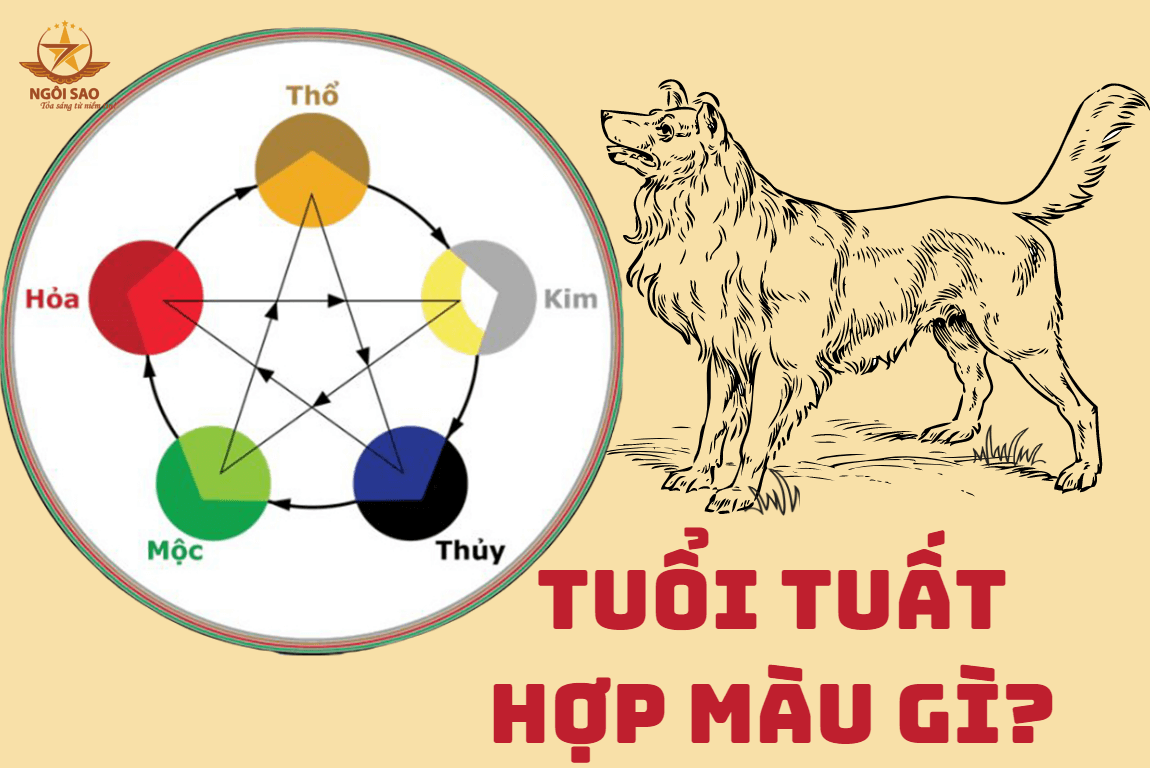 tuổi tuất hợp màu gì