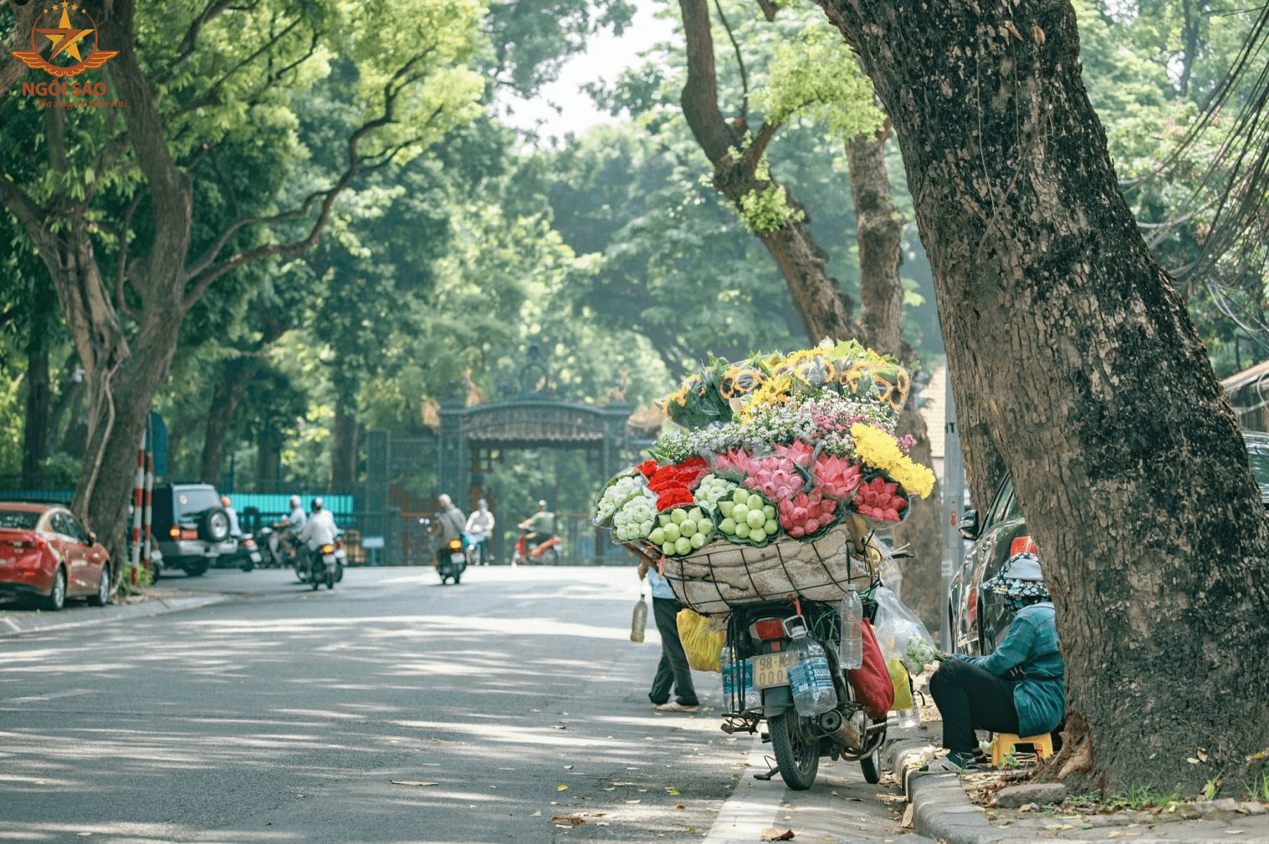 Đây là mùa có nhiệt độ ấm áp và dễ chịu nhất trong năm.