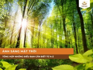 Ánh Sáng Mặt Trời Và Tổng Hợp Những Điều Bạn Cần Biết Từ A-Z