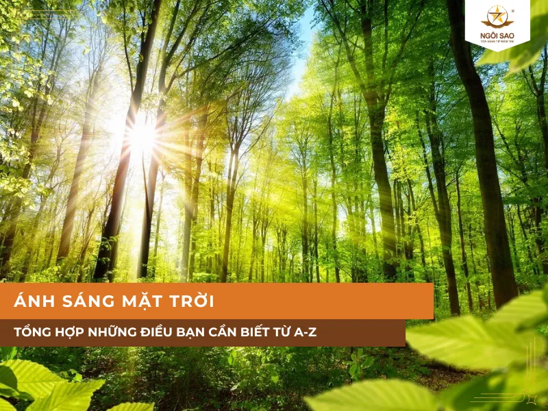Ánh Sáng Mặt Trời Và Tổng Hợp Những Điều Bạn Cần Biết Từ A-Z
