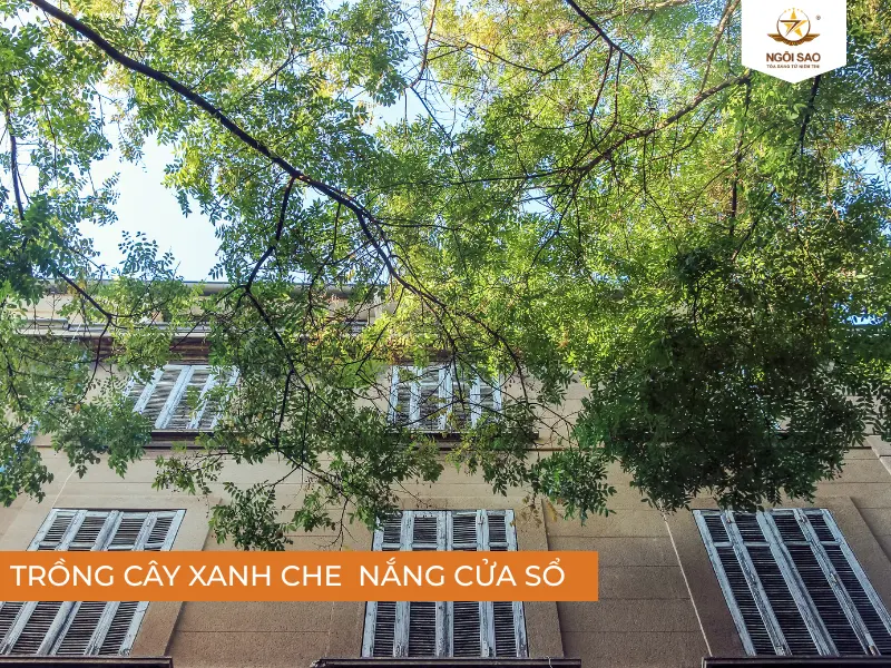 Trồng cây xanh