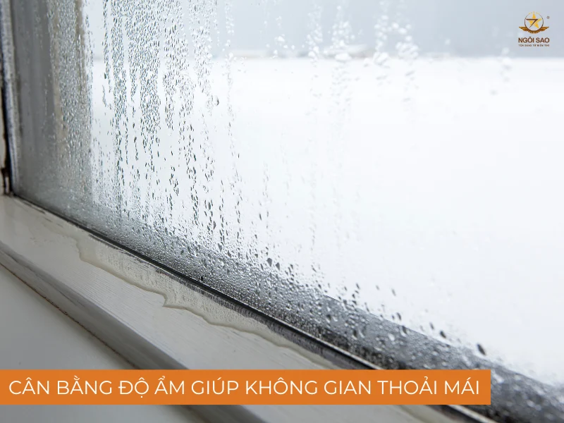 Độ ẩm không khí là gì 