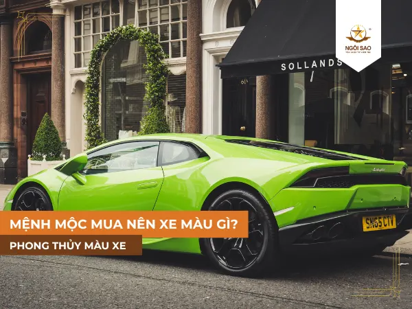 Hướng dẫn mua xe màu gì cho người mệnh Mộc