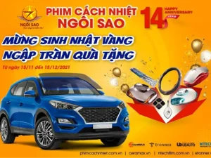 Hoạt động kỷ niệm 14 năm thành lập của Ngôi Sao