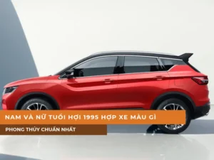 Nam và nữ tuổi Hợi 1995 hợp xe màu gì theo phong thủy chuẩn nhất