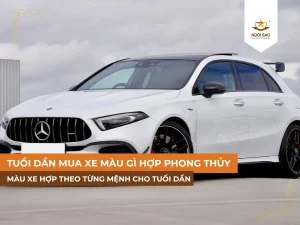 Tuổi dần nên mua xe màu gì hợp phong thủy