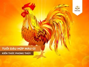 Màu hợp phong thủy tuổi dậu
