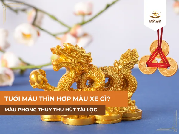 Tuổi mậu thìn hợp màu xe gì thu hút tài lộc và may mắn