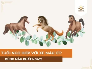 Tuổi Ngọ Hợp Màu Gì? Mua Xe Tuổi Ngọ Đúng Màu Phất Ngay!