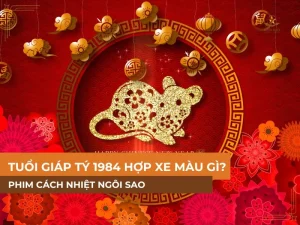 Tuổi Giáp Tý 1984 Hợp Xe Màu Gì?