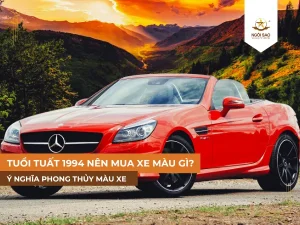 Tuổi tuất hợp màu gì khi mua xe