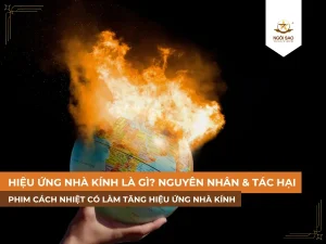 Hiệu ứng nhà kính là gì? Phim cách nhiệt có làm tăng hiệu ứng nhà kính không?