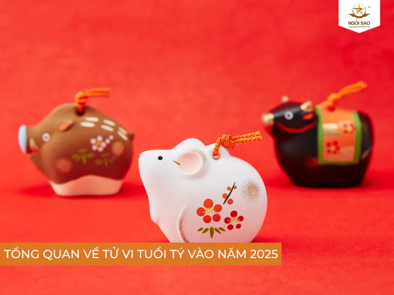 Tử vi người tuổi Tý trong năm 2025