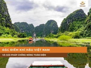 Đặc điểm khí hậu Việt Nam và giải pháp chống nóng toàn diện