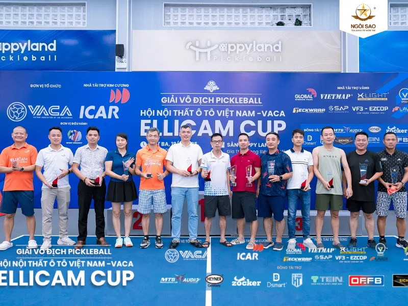 Hình giải đấu