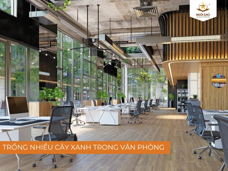 Đặt nhiều cây xanh 