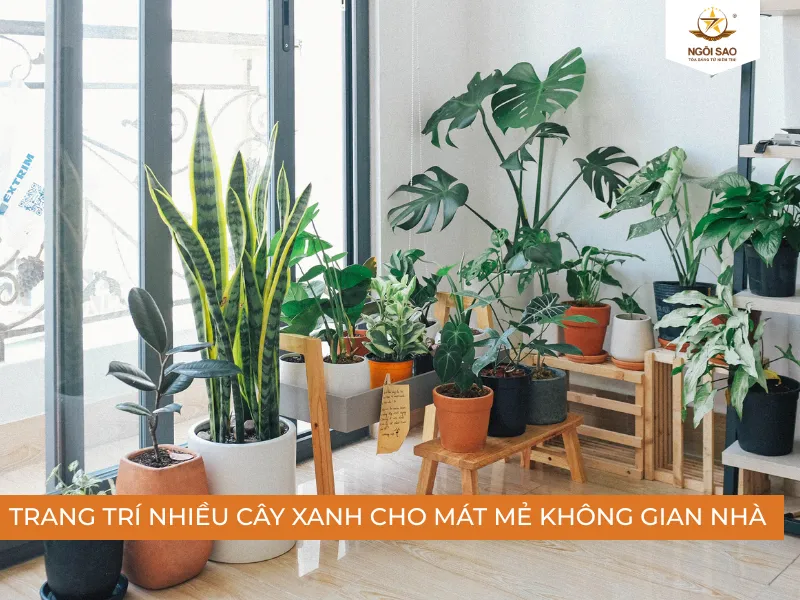 Trang trí nhiều cây xanh để giữ mát cho không gian nhà thêm thoáng đãng