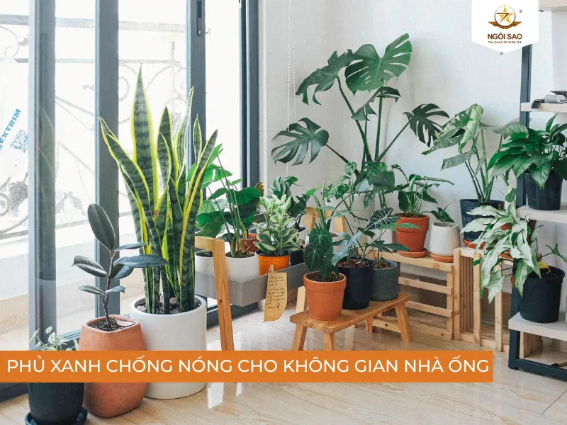 Chống nóng nhà ống bằng cách phủ xanh