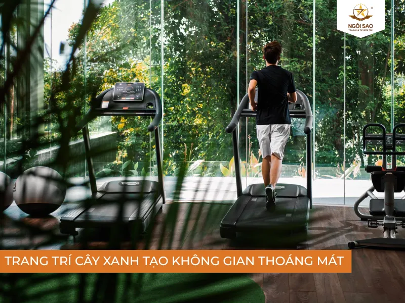 Cách chống nóng phòng Gym bằng cây xanh
