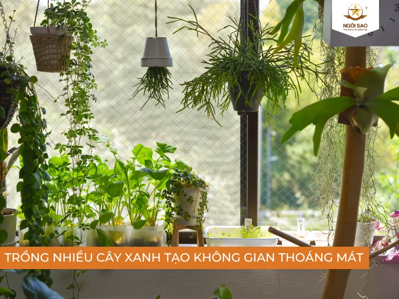 Trồng nhiều cây xanh để hạn chế ánh nắng mặt trời ảnh hưởng