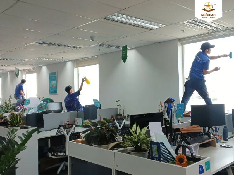 Hình ảnh dán phim thực tế