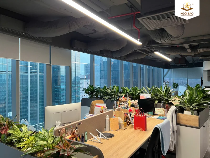 Tổng quan dự án